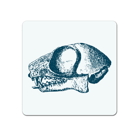 Vintage Animal Skull  - Coaster - Ai Printing